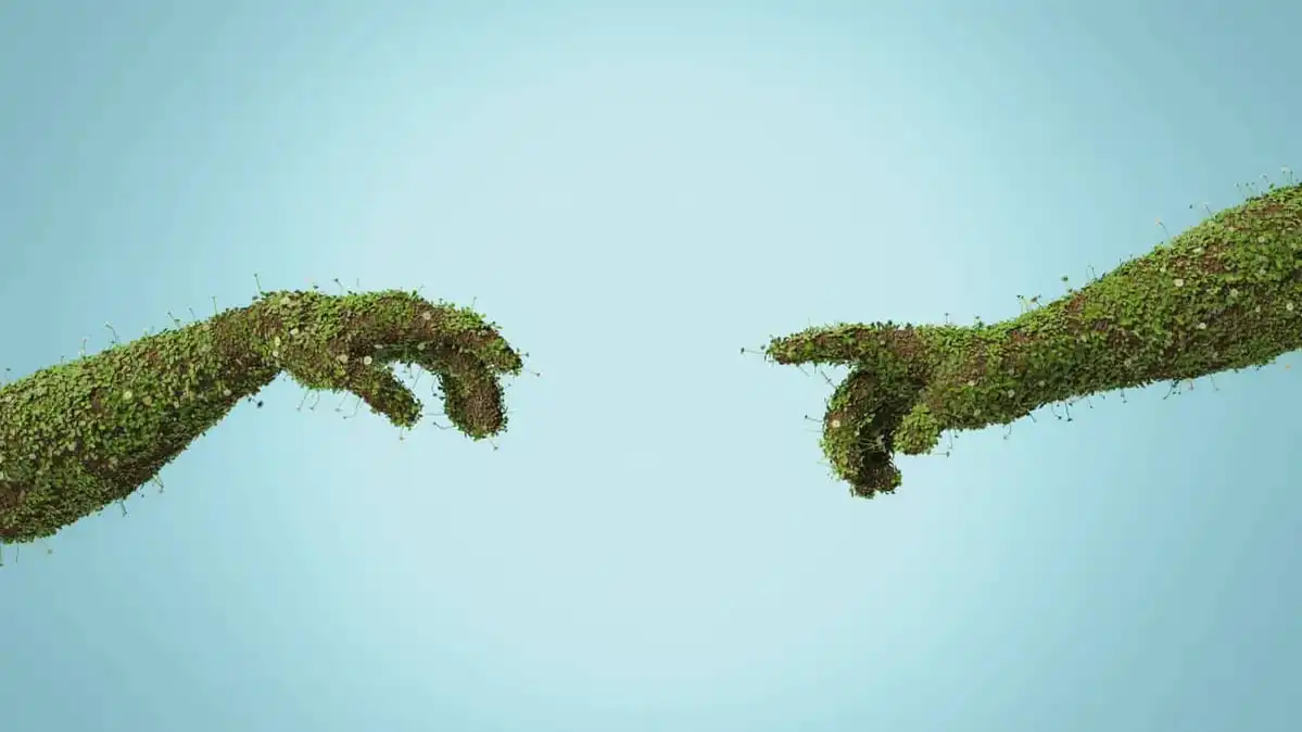 Artistic: two hands made of soil and plants reaching out to touch each other. Blue background